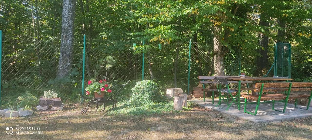 Holiday Home Nina Petrinja Εξωτερικό φωτογραφία