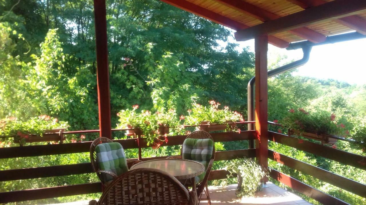 Holiday Home Nina Petrinja Εξωτερικό φωτογραφία
